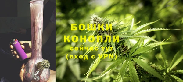 тгк Бронницы