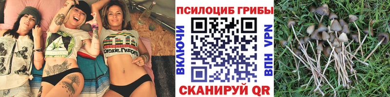 Галлюциногенные грибы прущие грибы Бородино